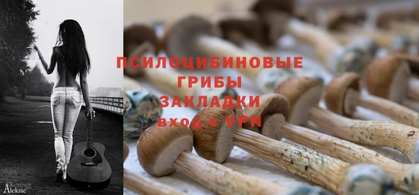 прущий лед Белокуриха