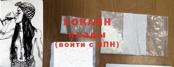 дживик Богородск