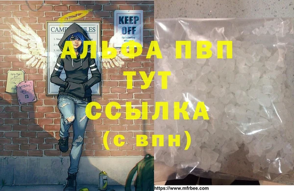 дживик Богородск