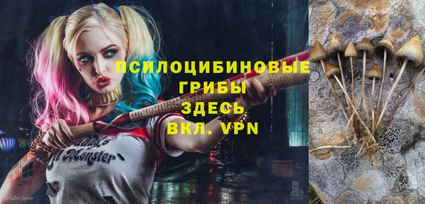 винт Богданович
