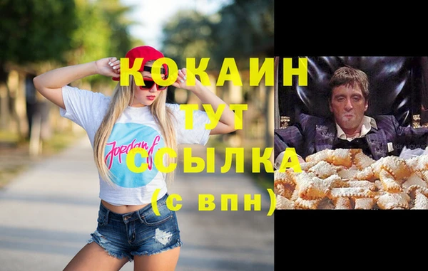 винт Богданович