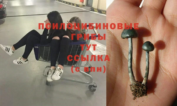 прущая мука Беломорск