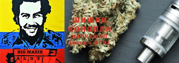 дурь Бронницы